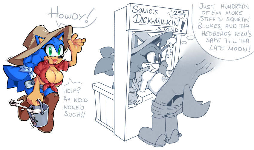 Sonic The Hedgehog (Sonic (Series)) Rule 34 Image