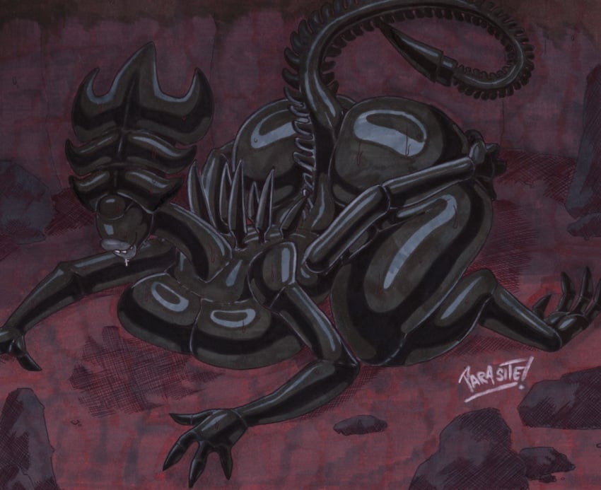 Female Xenomorph (Alien (Franchise)) Rule 34 Image