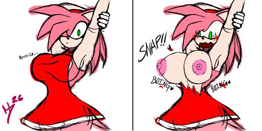 Amy Rose (Sega) Rule 34 Image