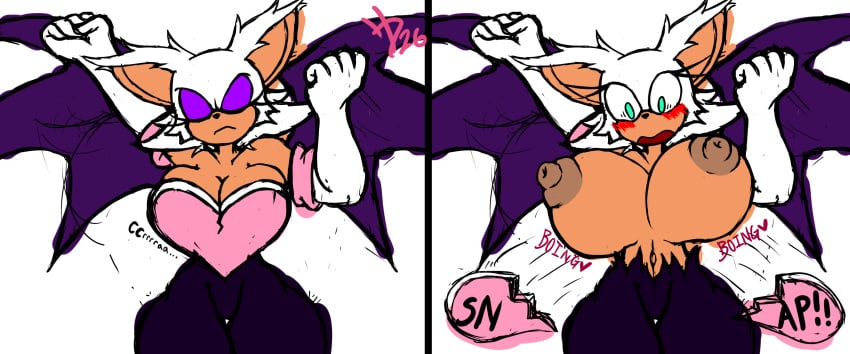 Rouge The Bat (Sega) Rule 34 Image