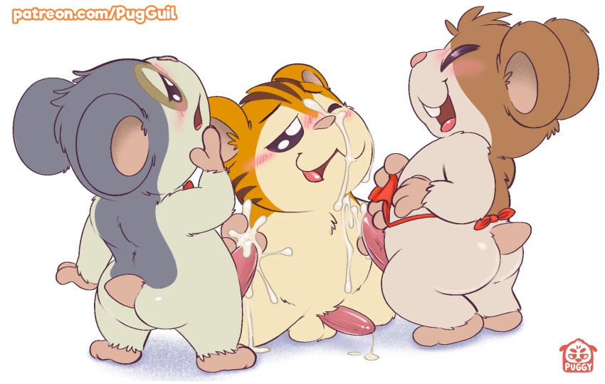 Dexter (Hamtaro) Rule 34 Image