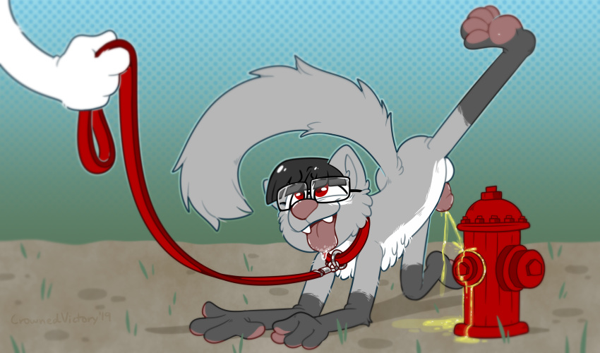 anthro bodily_fluids bowl_cut canid canine crownedvictory eyewear fire_hydrant floating_hand fur genital_fluids glasses grass grey_body grey_fur hair hi_res humanoid_penis leash male male_focus male_only mammal peeing penis petplay puppyplay raised_leg red_eyes roleplay simple_background solo tongue tongue_out urine watersports