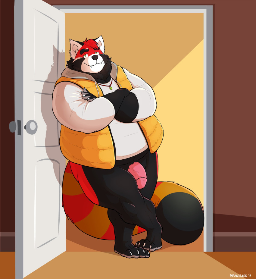 2019 ailurid anthro black_body black_fur clothing cute_fangs flaccid fur hi_res humanoid_hands humanoid_penis male male_only mammal manlyster overweight overweight_male penis red_panda shirt solo topwear