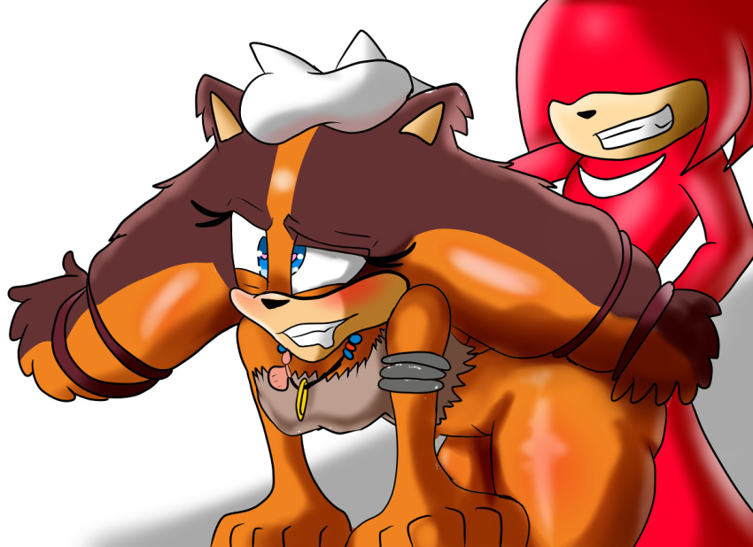 Knuckles The Echidna (Sega) Rule 34 Image