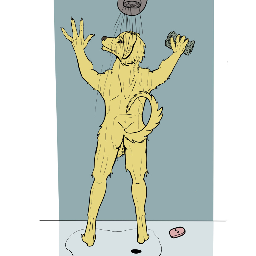 1:1 2019 absurd_res anthro balls bird_dog body_hair bojack_horseman canid canine canis deriviera digital_media_(artwork) domestic_dog fur hi_res hunting_dog labrador male male_only mammal mr._peanutbutter nude presenting retriever shower simple_background soap solo wet