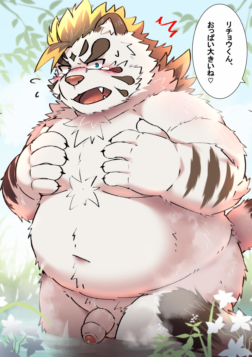 2019 absurd_res anthro balls bathing belly blue_eyes blush cute_fangs felid heart hi_res humanoid_hands humanoid_penis japanese_text licho_(tokyo_afterschool_summoners) male male_only mammal moobs outside overweight overweight_male pantherine penis ptcmtr solo text tiger tokyo_afterschool_summoners translation_request video_games