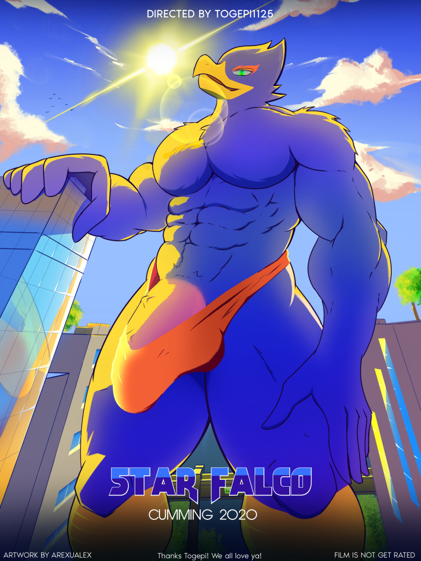 arexualex avian bird bulge city clothing english_text falco_lombardi flaccid hi_res looking_down looming low-angle_view macro male male_only nintendo penis speedo star_fox swimwear text video_games