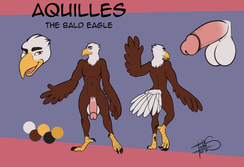 10s 2019 accipitrid accipitriform avian bald_eagle balls big_balls big_penis bird eagle freckles_(artist) hi_res male male_only model_sheet muscular nude penis sea_eagle solo war-bird