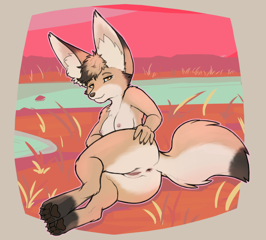 2019 anthro anus big_ears breasts canid canine feet female fennec fox fur furry furry_only fuzzikayu grass hi_res mammal nipples orange_eyes paws presenting presenting_anus presenting_pussy pussy shortstack simple_background small_(disambiguation) solo spreading tail