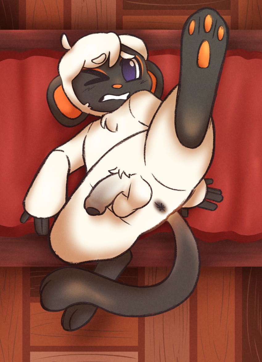 Niko (Animal Crossing) Rule 34 Image