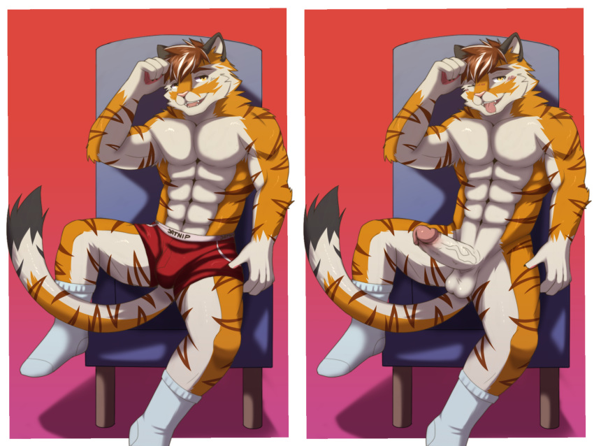 4:3 anthro balls barazoku big_(disambiguation) bulge clothing coffeecat digital_media_(artwork) domestic_cat felid feline felis footwear genitals hi_res kemono male male_only mammal muscular muscular_anthro muscular_male nude pantherine penis sex socks solo tiger underwear