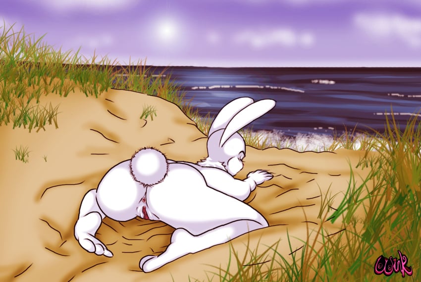 anus ass ass beach bunny bunny_ears bunny_tail dunes furry grass ocean pussy rabbit rabbit_ears rabbit_tail sand thewink white_rabbit