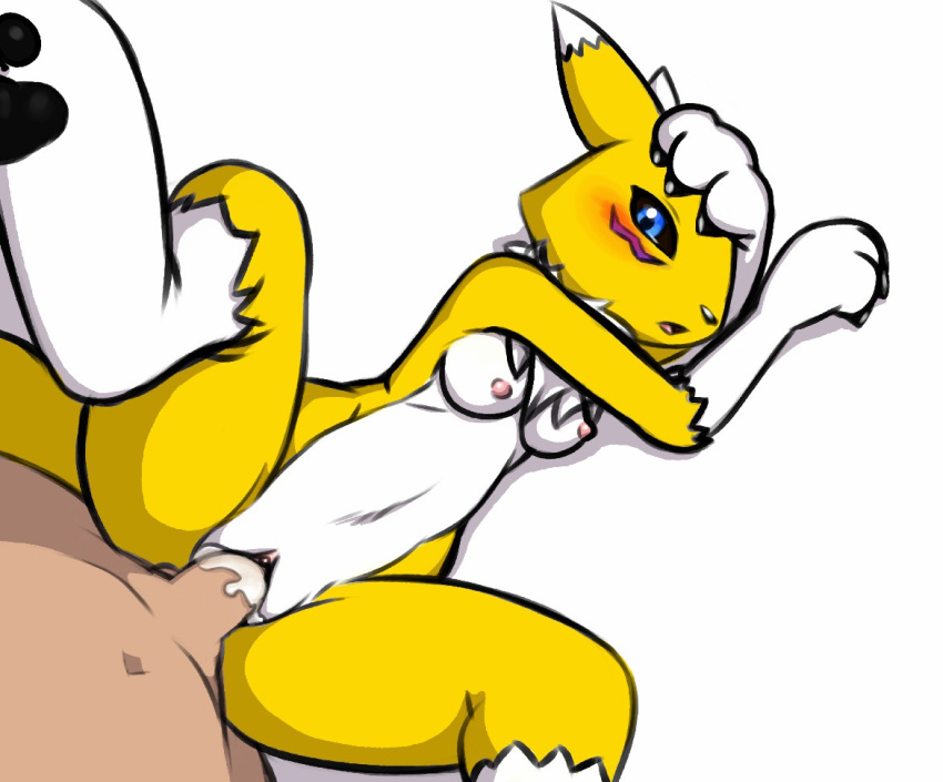 1boy 1girls bodily_fluids breasts canine cum digimon digimon_(species) domestic_dog female gatomonlover genital_fluids haiiromon human_on_anthro mammal nipples penetration penis pussy renamon sex shounen_jump vaginal_penetration