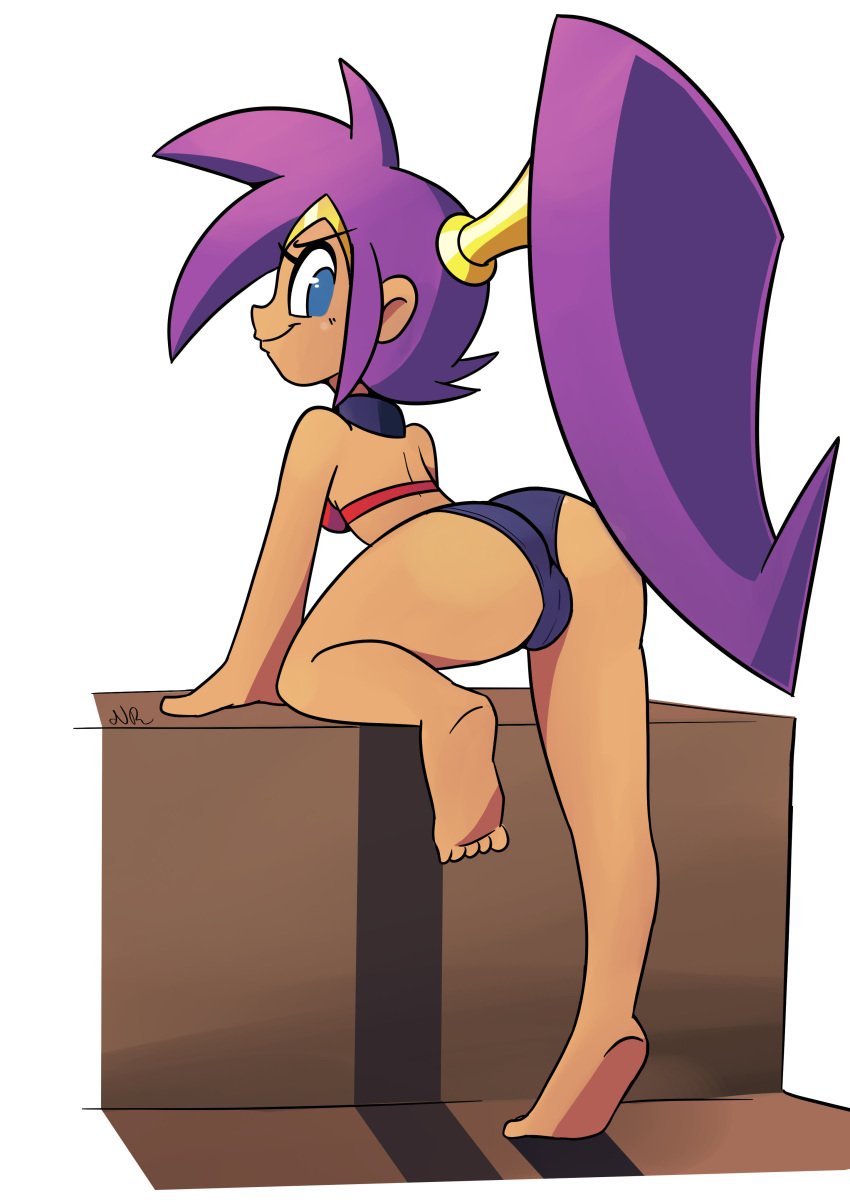 1girls ass barefoot blue_eyes breasts cameltoe clothing dark_skin female highres long_hair nova_rain ponytail purple_hair shantae shantae_(character) signature smile smooth_skin solo toes