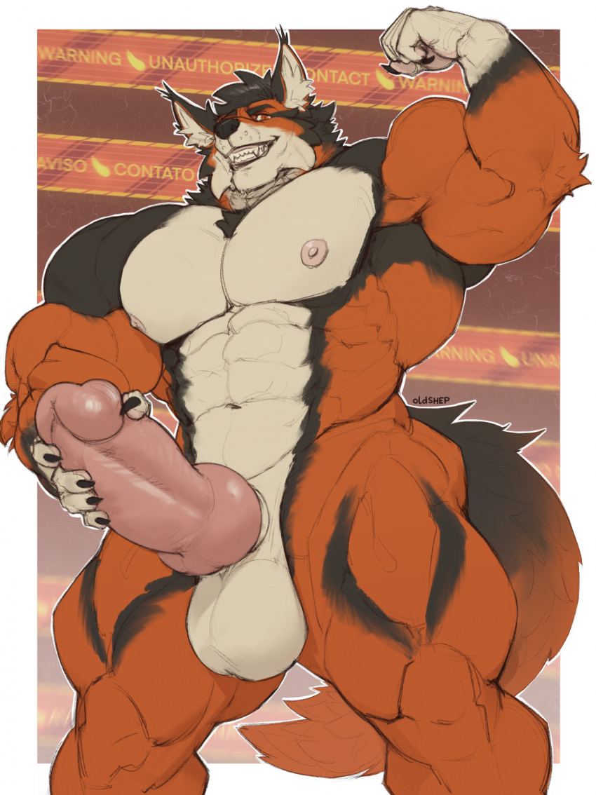 Armbands (Marking) Rule 34 Image
