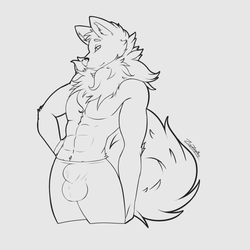 1:1 abs alaskan_malamute anthro balls_outline bulge canid canine canis clothed clothing domestic_dog finn_(kissmonster) fluffy fur hi_res male male_only mammal muscular muscular_male nordic_sled_dog sheath_outline solo spitz topless zigzagmag