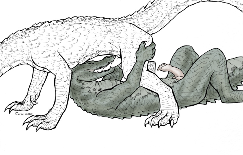 alligator alligatorid anatomically_correct anatomically_correct_penis animal_genitalia anthro claws crocodilian erection fellatio feral male male/male oral penile penis reptile rienkarrot scalie sex teeth