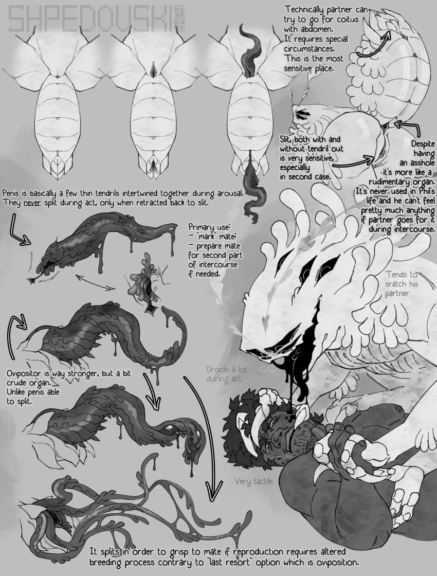 Sam (Look Outside) Rule 34 Image