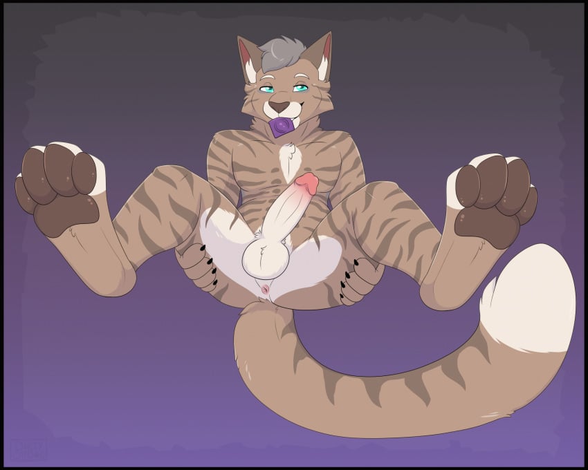 5:4 Rule 34 Image