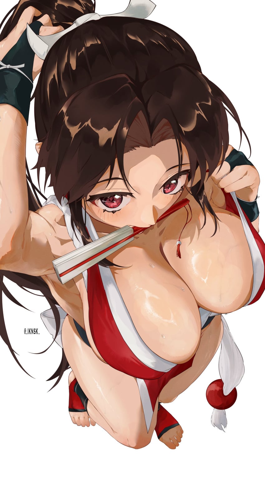 Mai Shiranui (Fatal Fury) Rule 34 Image