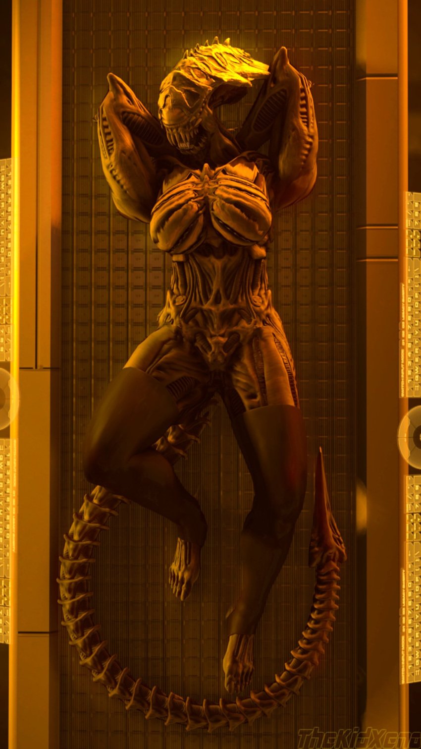 1girls 2019 3d 5_toes 9:16 alien alien_(franchise) alien_girl alien_only claws clothing excella eyeless feet female female_xenomorph hi_res humanoid humanoid_feet legwear lying pussy sharp_teeth solo source_filmmaker stockings teeth thekidxeno toe_claws toes xenomorph xeup36