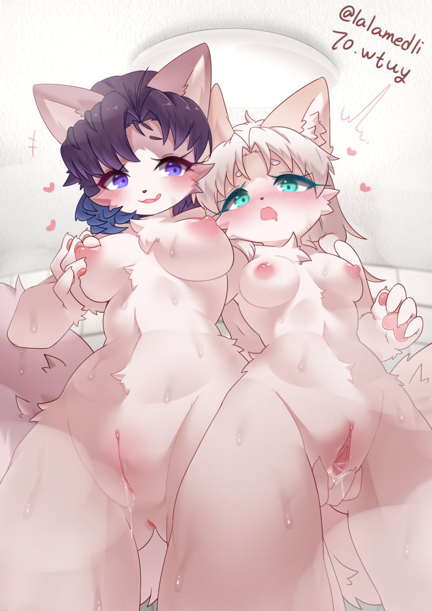 absurd_res anal anthro anus ass bodily_fluids breasts canid canine canis domestic_cat domestic_dog duo felid feline felis female female/female genital_fluids genitals hair hand_on_butt hand_on_chest hi_res humanoid lalamedli mammal nipples nude pink_nipples purple_eyes purple_hair pussy sex_toy shy vaginal_fluids vaginal_penetration white_body white_hair