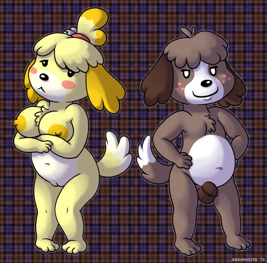 2013 :< animal_crossing anthro balls big_breasts blonde_hair blush both_sexes_in_same_situation brainsister breasts brother brother_and_sister brown_body brown_fur brown_hair canid canine canis chest_tuft digby_(animal_crossing) dipstick_tail domestic_dog empty_eyes female foreskin freckles fur hair hi_res isabelle_(animal_crossing) male mammal multicolored_tail nintendo nipples nude opposite_sex_twins penis plaid_background pussy shih_tzu sibling simple_background sister slightly_chubby smile toy_dog tuft uncut video_games yellow_body yellow_fur