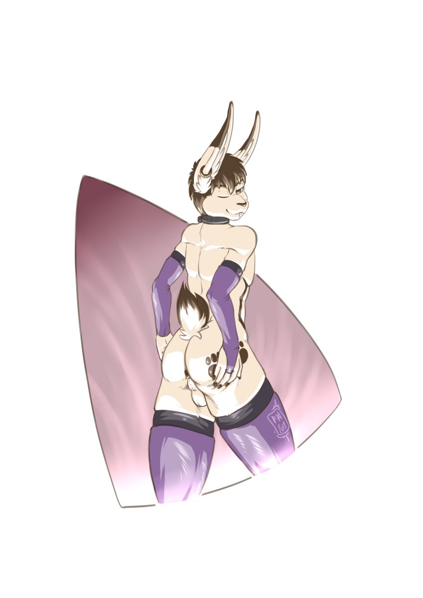 absurd_res anthro arm_warmers armwear backsack balls clothing collar fur hair hi_res lagomorph legwear leporid looking_at_viewer male male_only mammal munsu89 one_eye_closed perineum piercing presenting rabbit solo stockings tattoo thigh_highs