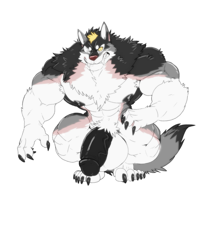 2019 5_fingers 5_toes anthro balls bfw big_balls big_muscles big_penis black_body black_fur black_nipples black_nose blonde_hair canid canine canis crouching cursedmarked fingers flaccid flexing fur grey_body grey_fur hair hi_res huge_balls huge_cock huge_muscles looking_at_viewer male male_only mammal multitoned_fur muscular muscular_male nipples penis plantigrade simple_background solo toes vein veiny_penis white_background white_body white_fur wolf yellow_sclera