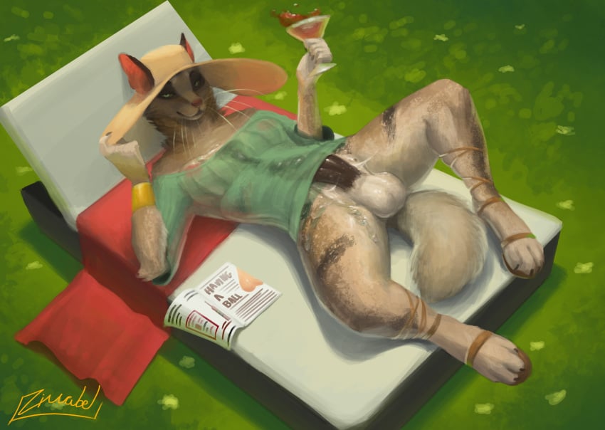 1futa 2019 anthro balls bedroom_eyes bodily_fluids breasts canid canine canis clothed clothing english_text fur futanari genital_fluids grass gynomorph hat headgear headwear hi_res intersex jackal looking_at_viewer lying mammal narrowed_eyes nipples on_back penis precum seductive solo text zimabel