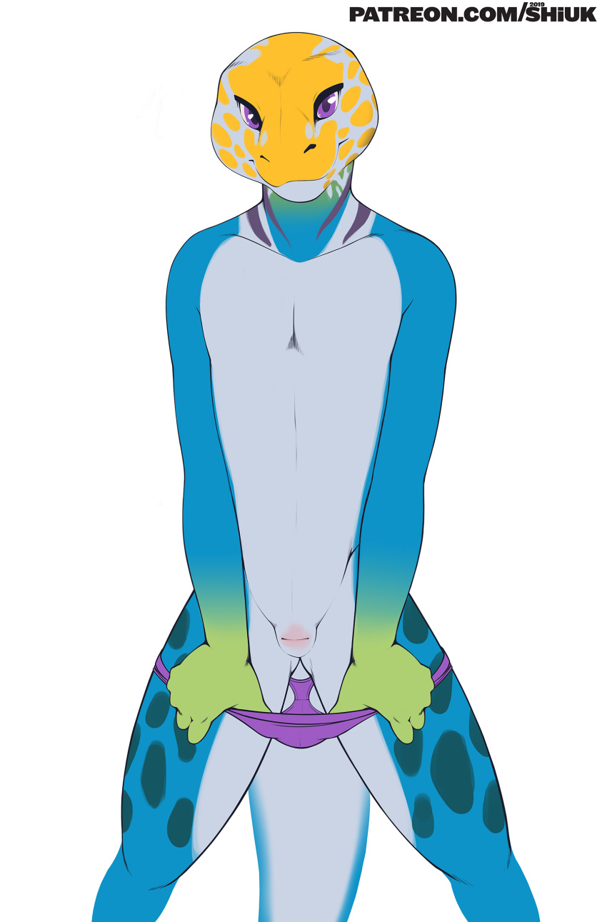 2019 5_fingers absurd_res anthro biped blue_body blue_skin clothing collared_lizard facial_markings fingers front_view head_markings hi_res lizard looking_at_viewer male male_only markings mostly_nude multicolored_body multicolored_skin patreon pinup pose purple_eyes purple_markings reptile scalie shiuk simple_background slit solo spots spotted_body spotted_skin standing text thong underwear undressing url watermark white_background white_body white_skin yellow_markings