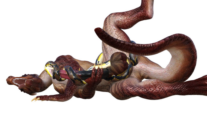 16:9 Rule 34 Image