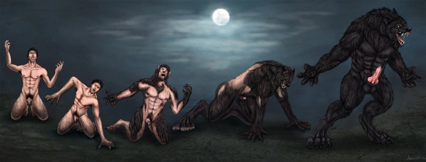 animal_genitalia anthro armpit_hair balls body_hair canid canine erection fur mammal nude open_mouth species_transformation toddwolf transformation were werecanid werecanine werewolf