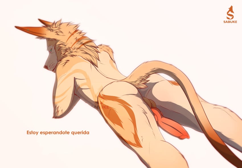 animal_genitalia animal_penis ass backsack balls canid canine canine_penis canis demon erection male_only mammal nude penis raised_tail sabuke sabuky simple_background spanish_text text were werecanid werecanine werewolf white_background wolf