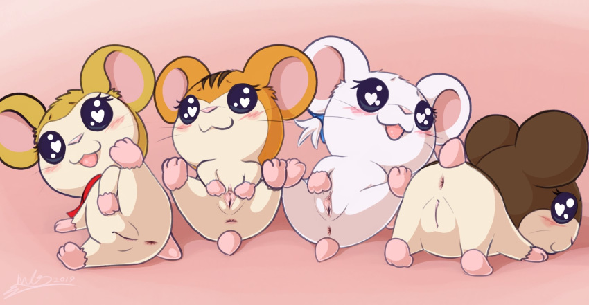 <3_eyes 4girls :3 anus bijou bijou_(hamtaro) blush cute female female_only feral fur group haiiromon hamtaro_(series) heart looking_at_viewer lying mammal marron_(hamtaro) multiple_girls open_mouth pashmina_(hamtaro) paws presenting pussy sandy_(hamtaro) scarf smile spread_legs spread_pussy spreading vagina