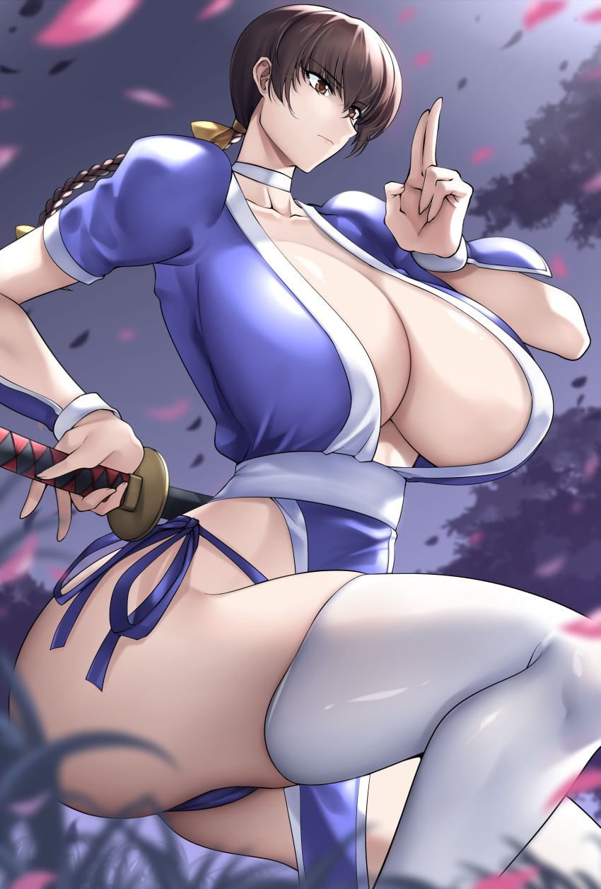 Kasumi (Doa) Rule 34 Image
