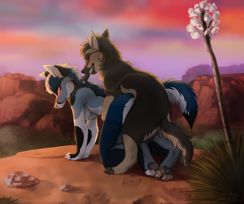 2019 4_toes anthro anthro_on_feral anthro_penetrated blue_body blue_fur brown_body brown_fur canid canine canis day detailed_background digital_media_(artwork) digitigrade domestic_dog female female_penetrated feral feral_penetrating feral_penetrating_anthro fox fur german_shepherd herding_dog male male_penetrating male_penetrating_female mammal mangobird outside pastoral_dog penetration sky straight teeth toes zoophilia