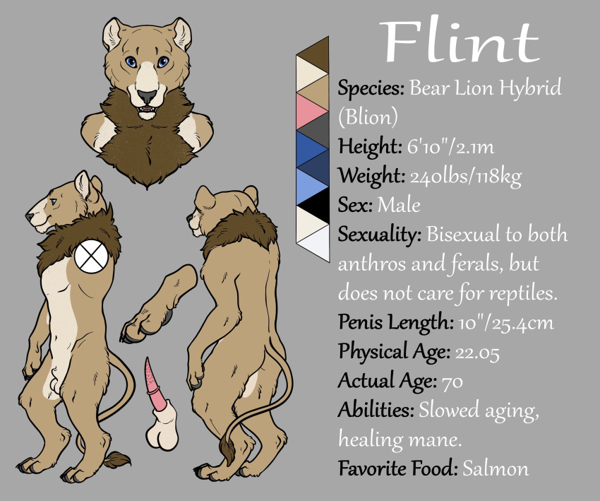 absurd_res anatomically_correct animal_genitalia animal_penis anthro ass balls blue_eyes brown_body brown_fur digitigrade erection felid feline feline_penis flaccid flint_blion flintblion fur hi_res hybrid lion male mammal mane model_sheet nude pantherine penis sheath solo ursid ursine_penis