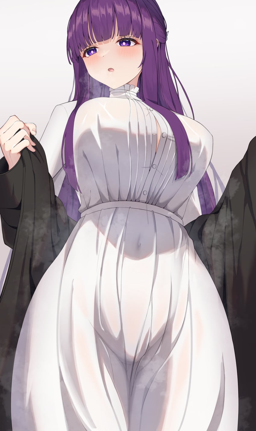 Fern (Sousou No Frieren) Rule 34 Image
