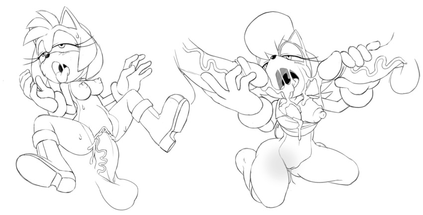 Amy Rose (Sega) Rule 34 Image
