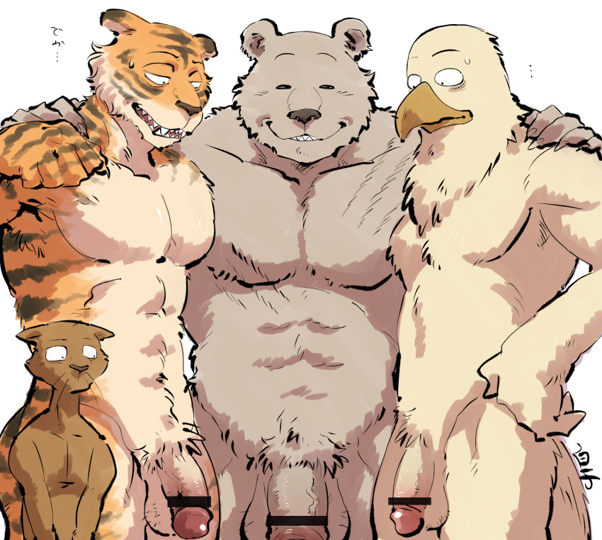 41raco accipitrid accipitriform aoba_(beastars) athletic athletic_male avian bald_eagle balls beak beastars bill_(beastars) bird brown_bear brown_body brown_fur censor_bar eagle feathers felid fur herpestid hi_res kai_(beastars) kirupi male male_only mammal mongoose muscular muscular_male nude orange_body orange_fur pantherine penis pubes riz_(beastars) sea_eagle shirako signature striped_body striped_fur stripes tan_body tan_feathers tan_fur tiger ursid ursine