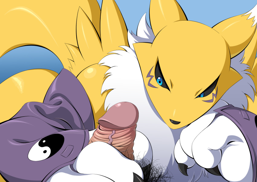 armwear clothing digimon digimon_(species) dirtyboy female handjob hi_res male penile penis pubes renamon sex straight