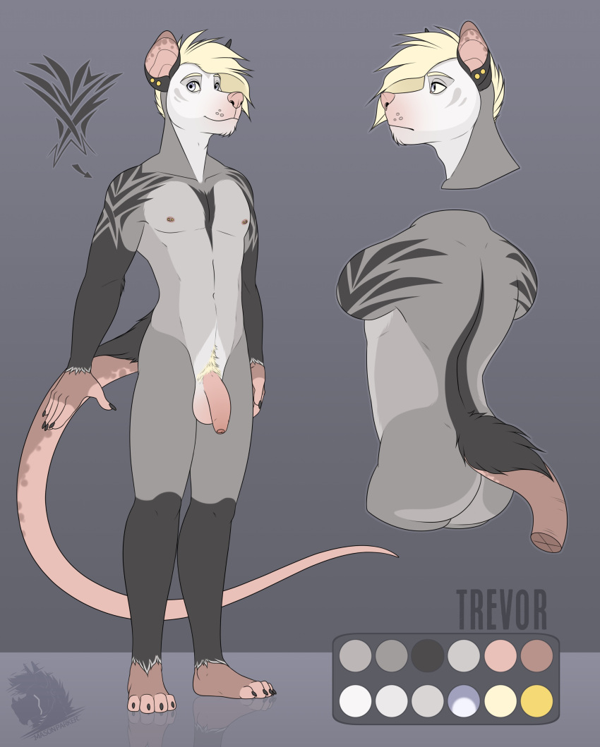 2019 4_toes 5_fingers absurd_res anthro ass balls biped black_body black_claws black_fur blonde_hair claws color_swatch didelphid disembodied_head ear_piercing fingers flaccid front_view fur fur_markings grey_background grey_body grey_eyes grey_fur hair hi_res humanoid_penis long_tail looking_away male mammal markings marsupial masonparker model_sheet nipple_piercing nipples nude paws penis piercing pink_nose pose pubes rear_view side_view simple_background solo standing text toes trevor_(masonparker) uncut watermark white_body white_fur