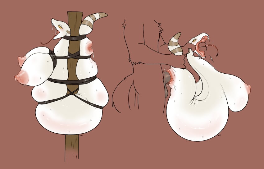 Animal Genitalia Rule 34 Image
