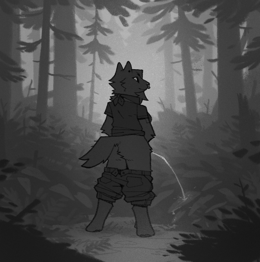 1:1 Rule 34 Image