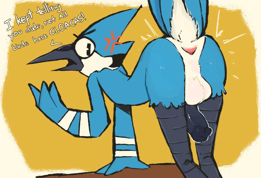 Jay (Bird) Rule 34 Image