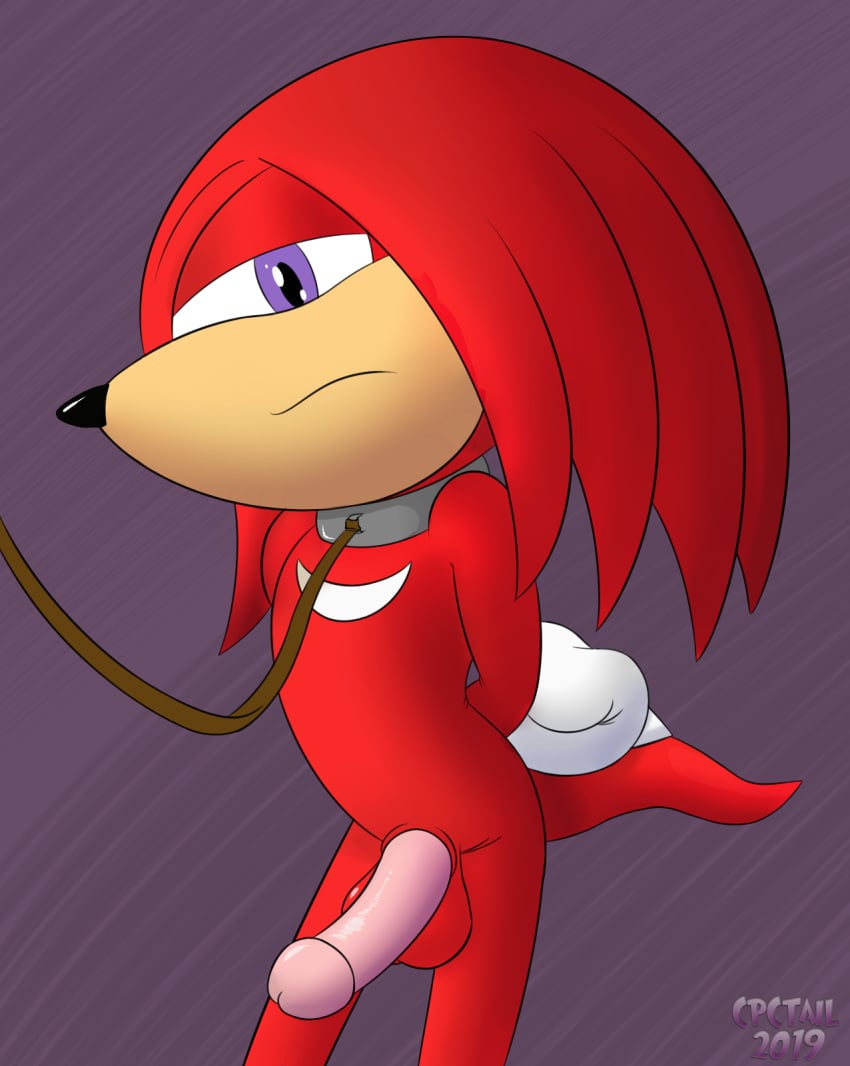 balls cpctail echidna hi_res humanoid_penis invalid_tag knuckles_the_echidna leash male male_only mammal monotreme penis pet solo sonic_(series) sonic_the_hedgehog_(series)