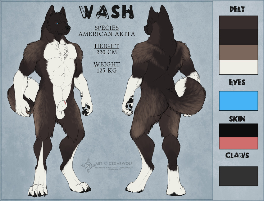 2019 4_toes 5_fingers akita akitawash animal_genitalia anthro ass balls black_body black_fur black_nose blue_eyes canid canine canis cedarwolf claws digitigrade domestic_dog fingers fur male male_only mammal muscular nude sheath solo spitz toes white_body white_fur