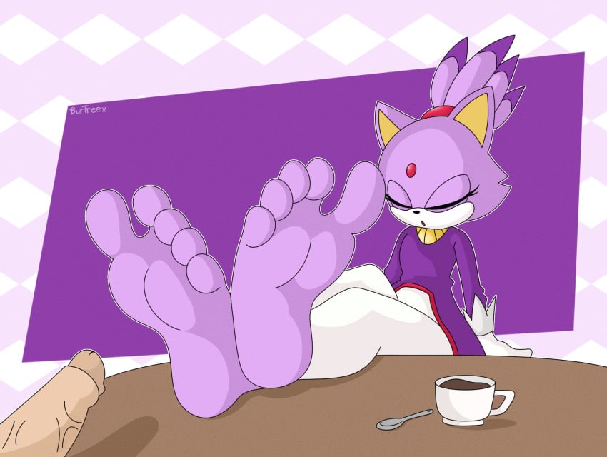 5_toes anthro barefoot beverage blaze_the_cat burtreex clothed clothing container cup domestic_cat duo feet felid feline felis female foot_fetish genitals hi_res human humanoid_genitalia humanoid_penis male mammal partial_male penis purple_body sega sleeping soles sonic_the_hedgehog_(series) tea tea_cup toes vein veiny_penis