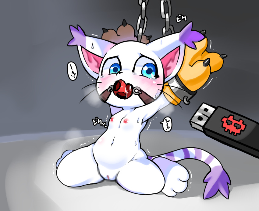 anthro ball_gag bodily_fluids censored chains computer_virus digimon digimon_(species) female gag gatomon hi_res japanese_text mosaic_censoring nipples pussy semi-anthro solo sweat text usb_drive